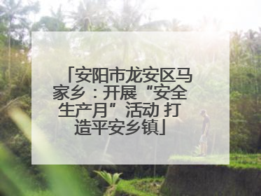 安阳市龙安区马家乡：开展“安全生产月”活动 打造平安乡镇