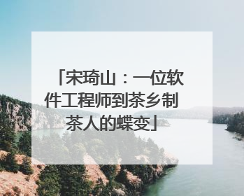 宋琦山：一位软件工程师到茶乡制茶人的蝶变