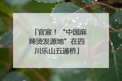 官宣！“中国麻辣烫发源地”在四川乐山五通桥