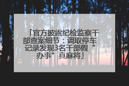 官方披露纪检监察干部查案细节：调取停车记录发现3名干部假“办事”真麻将