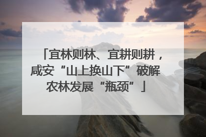 宜林则林、宜耕则耕，咸安“山上换山下”破解农林发展“瓶颈”