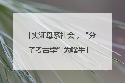 实证母系社会，“分子考古学”为啥牛