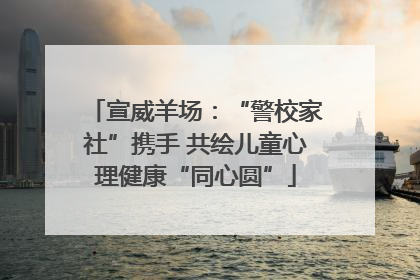 宣威羊场：“警校家社”携手 共绘儿童心理健康“同心圆”