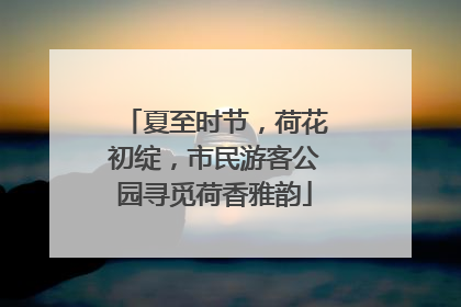 夏至时节，荷花初绽，市民游客公园寻觅荷香雅韵