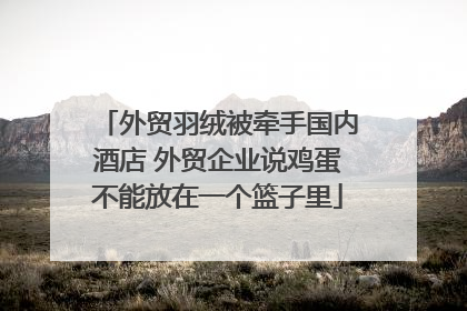 外贸羽绒被牵手国内酒店 外贸企业说鸡蛋不能放在一个篮子里
