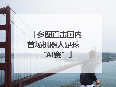 多图直击国内首场机器人足球“AI赛”