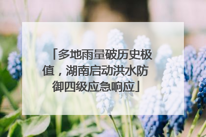 多地雨量破历史极值，湖南启动洪水防御四级应急响应