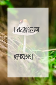 夜游运河好风光
