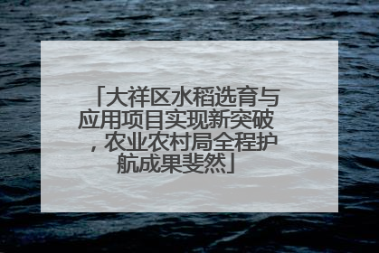 大祥区水稻选育与应用项目实现新突破，农业农村局全程护航成果斐然