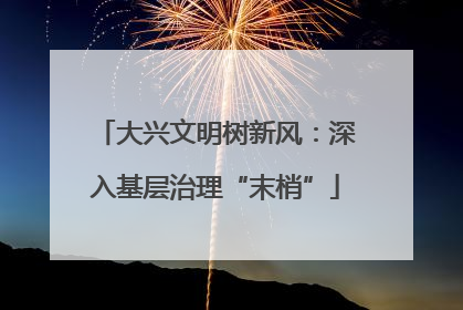 大兴文明树新风：深入基层治理“末梢”