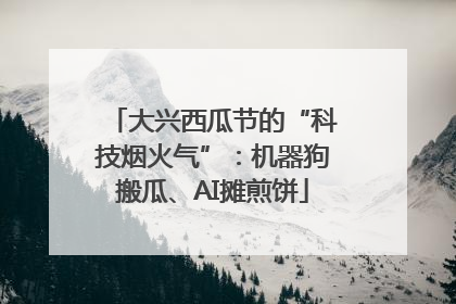大兴西瓜节的“科技烟火气”：机器狗搬瓜、AI摊煎饼