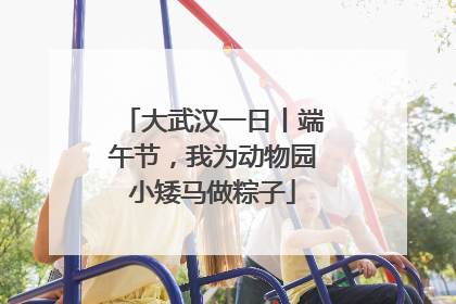 大武汉一日丨端午节，我为动物园小矮马做粽子