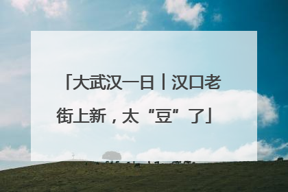 大武汉一日︱汉口老街上新，太“豆”了
