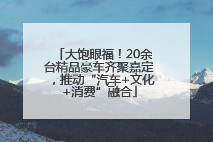 大饱眼福！20余台精品豪车齐聚嘉定，推动“汽车+文化+消费”融合