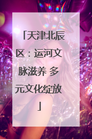 天津北辰区：运河文脉滋养 多元文化绽放