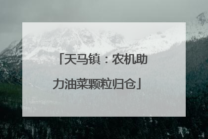 天马镇：农机助力油菜颗粒归仓