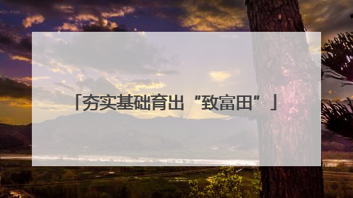夯实基础育出“致富田”