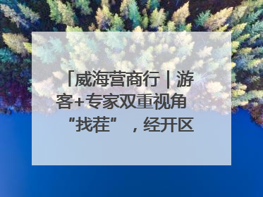 威海营商行｜游客+专家双重视角“找茬”，经开区文旅市场开展暑期前“体检”