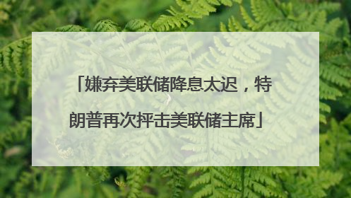 嫌弃美联储降息太迟，特朗普再次抨击美联储主席