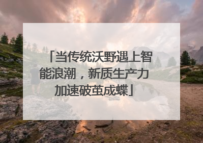 当传统沃野遇上智能浪潮，新质生产力加速破茧成蝶