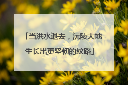 当洪水退去，沅陵大地生长出更坚韧的纹路