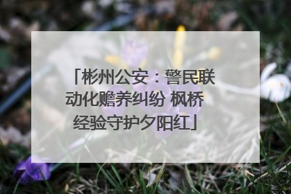 彬州公安：警民联动化赡养纠纷 枫桥经验守护夕阳红