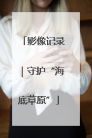 影像记录｜守护“海底草原”