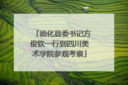 德化县委书记方俊钦一行到四川美术学院参观考察
