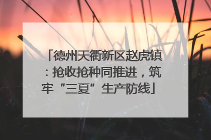德州天衢新区赵虎镇：抢收抢种同推进，筑牢“三夏”生产防线
