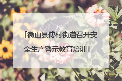 微山县傅村街道召开安全生产警示教育培训