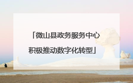 微山县政务服务中心积极推动数字化转型