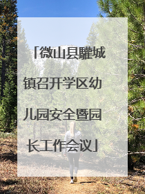 微山县驩城镇召开学区幼儿园安全暨园长工作会议
