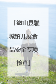 微山县驩城镇开展食品安全专项检查