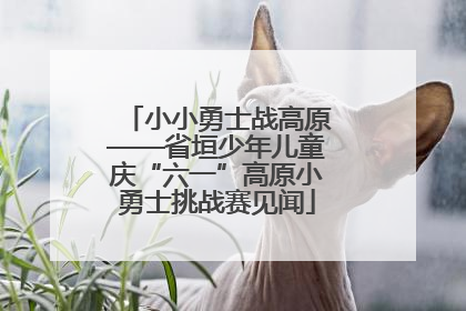 小小勇士战高原——省垣少年儿童庆“六一”高原小勇士挑战赛见闻