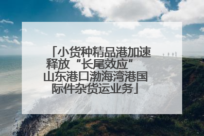 小货种精品港加速释放“长尾效应” 山东港口渤海湾港国际件杂货运业务
