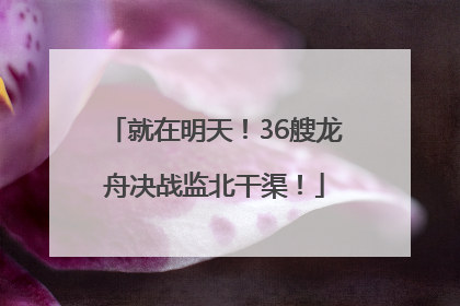 就在明天！36艘龙舟决战监北干渠！