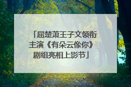 屈楚萧王子文领衔主演《有朵云像你》剧组亮相上影节