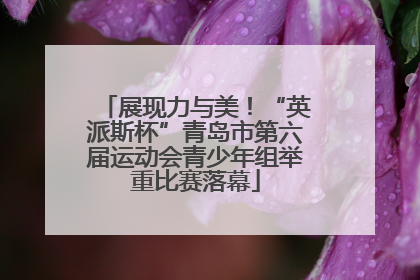 展现力与美！“英派斯杯”青岛市第六届运动会青少年组举重比赛落幕