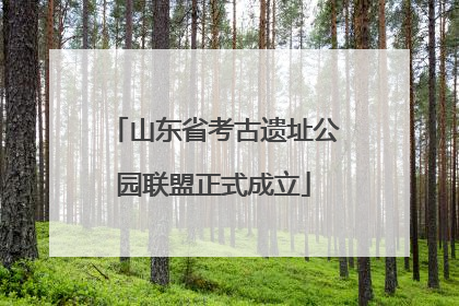 山东省考古遗址公园联盟正式成立