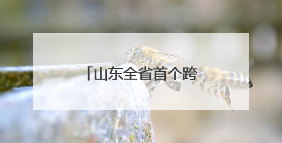 山东全省首个跨境电商出口退货中心仓正式启用