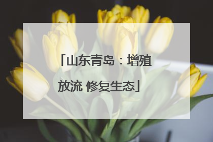山东青岛：增殖放流 修复生态