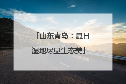 山东青岛：夏日湿地尽显生态美