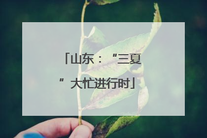 山东：“三夏”大忙进行时