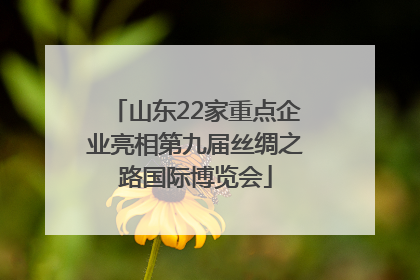 山东22家重点企业亮相第九届丝绸之路国际博览会