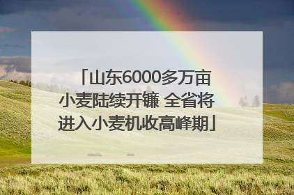 山东6000多万亩小麦陆续开镰 全省将进入小麦机收高峰期