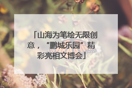 山海为笔绘无限创意，“鹏城乐园”精彩亮相文博会