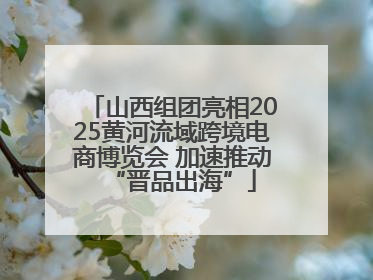 山西组团亮相2025黄河流域跨境电商博览会 加速推动“晋品出海”