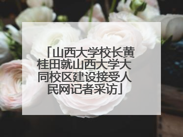 山西大学校长黄桂田就山西大学大同校区建设接受人民网记者采访