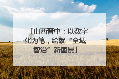 山西晋中：以数字化为笔，绘就“全域智治”新图景