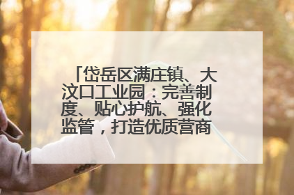 岱岳区满庄镇、大汶口工业园：完善制度、贴心护航、强化监管，打造优质营商“强磁场”
